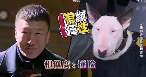 omg这些水果你竟然一直叫错名字