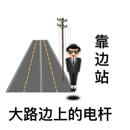 猪鼻子上插大葱,装相超有趣的歇后语表情包集合