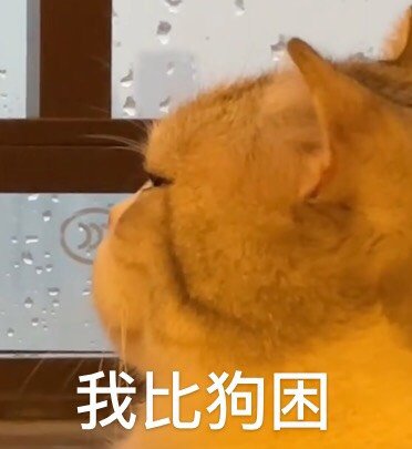 搞笑表情包更新我懂的,这就是生活