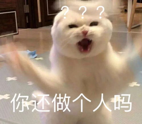 湖南卫视跨年官宣预告视频看得我一脸懵,涛一涛会...