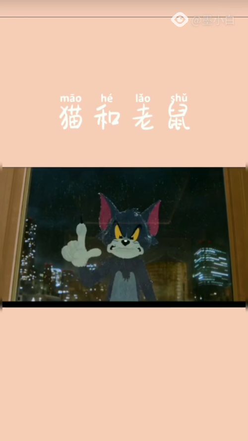 汤姆和杰瑞他们从未离去,换句话说就是他们一直都在动漫猫和老鼠