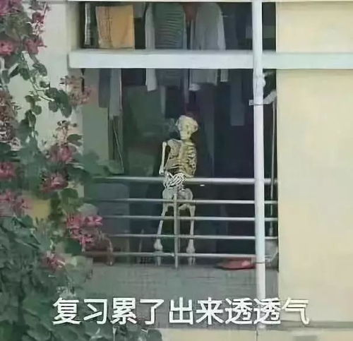 大学专业,确认过眼神,我们是学同一专业的人学医挺好就是头冷
