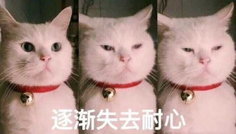 2018年美国cs就业形势差的原因根本直接是什么