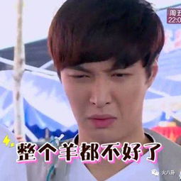 张一山不再参加真人秀小鲜肉都累到生病