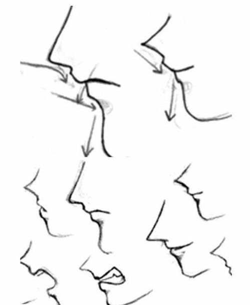 初学者怎么画好动漫人物的头部动漫绘画之头部含五官的绘画教程