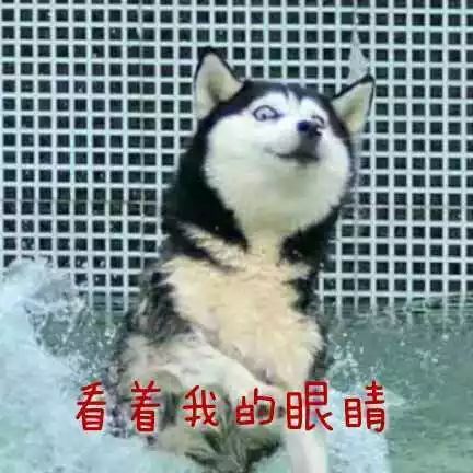 羞羞的铁拳到底有多少梗你知道吗