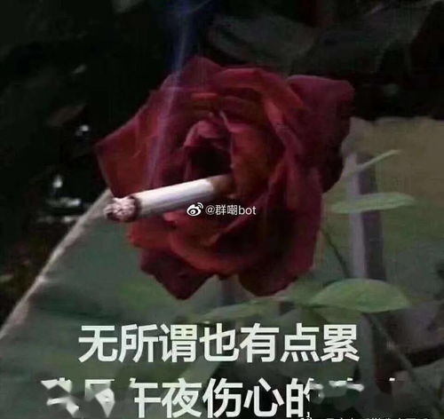 我终于可以半个月不洗头了