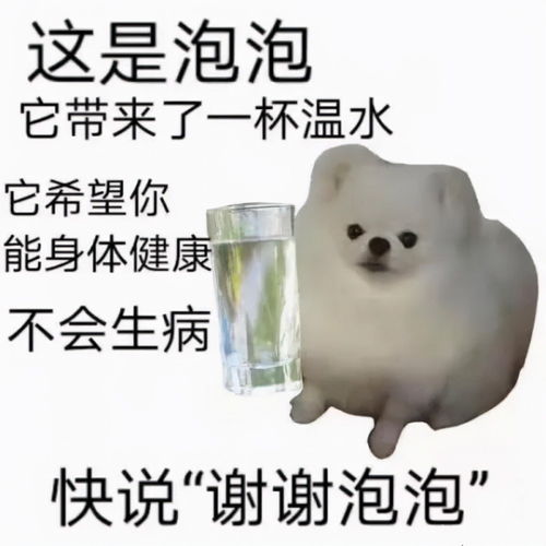 热梗百科谢谢卡尔什么梗