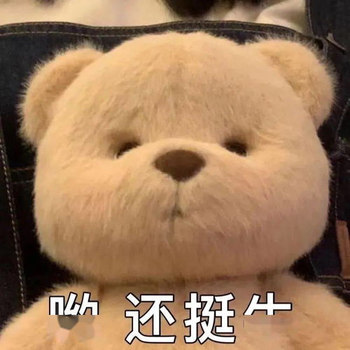 每日沙雕表情包