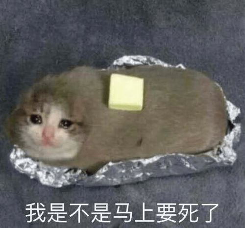 晚安,鼻炎人