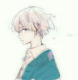 十二星座的眼睛