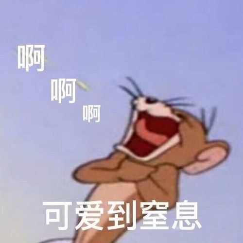小说