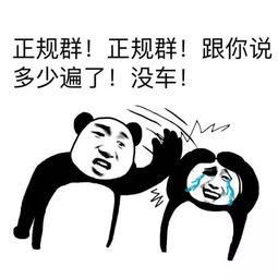 日常群聊沙雕表情包你这小子,简直骚得不像话