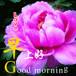 清晨祝福