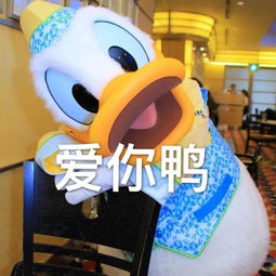 每天都要开心鸭好多鸭鸭表情包