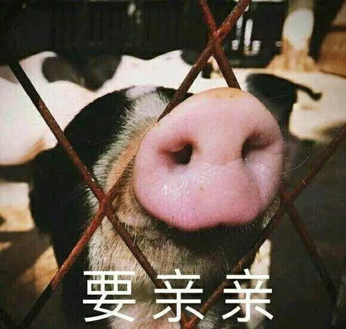 收藏夹