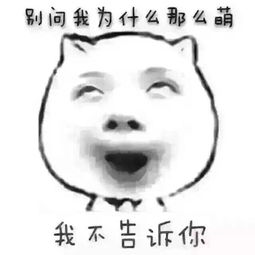 求一些搞笑照片谢谢