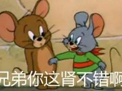 好好爱肾,避开七大伤肾行为