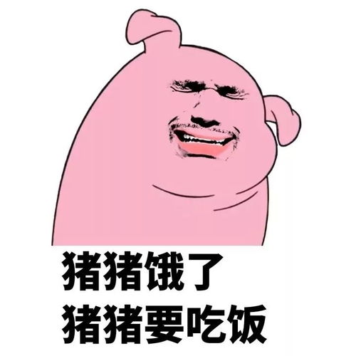 把小猪做成一桌大菜,你从哪道开始吃