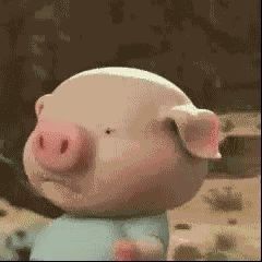 wildfieldhealth猪肉真的不如牛羊肉对身体好吗