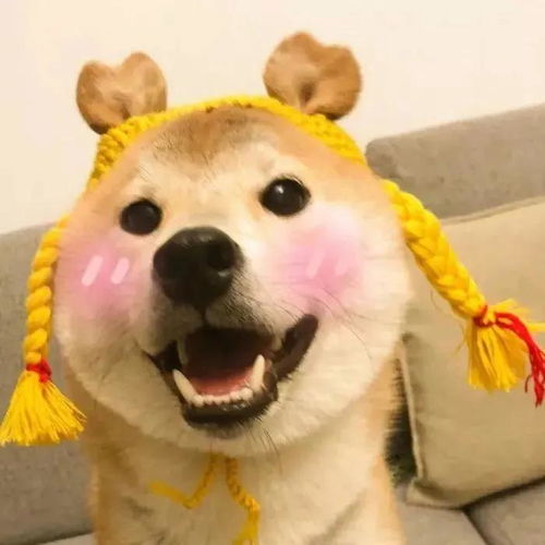 有哪些萌萌哒的头像