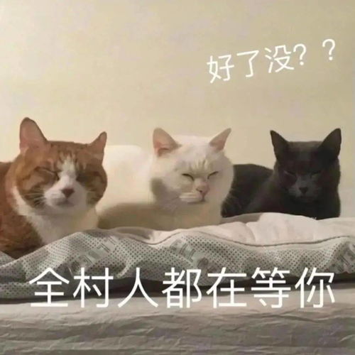 表情包动图全村人都在等你