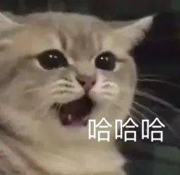 搞笑表情包更新我懂的,这就是生活