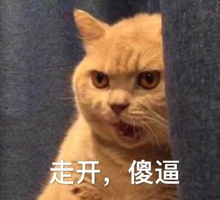 我妈不让我跟傻子玩表情包