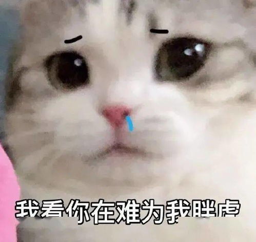 表情包大全祝我闺蜜,资产过亿