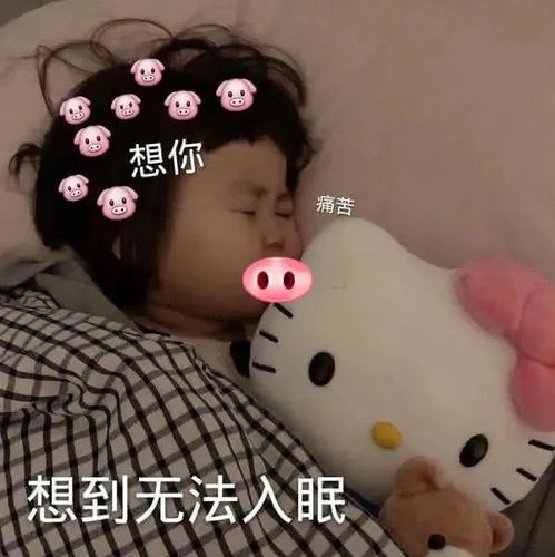假如学习就是追星疯狂热爱不可自拔