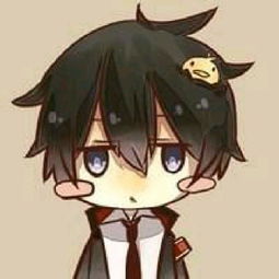 从未见过如此爱干净的蚂蚁拟光腹第一次上镜