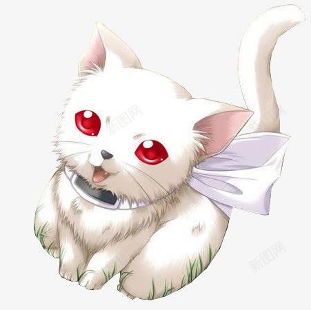 卡通白猫可爱猫咪创意素材可爱猫咪素材