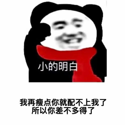 搞笑表情包转眼到了相亲旺季,代相亲,够丑绝对成不了