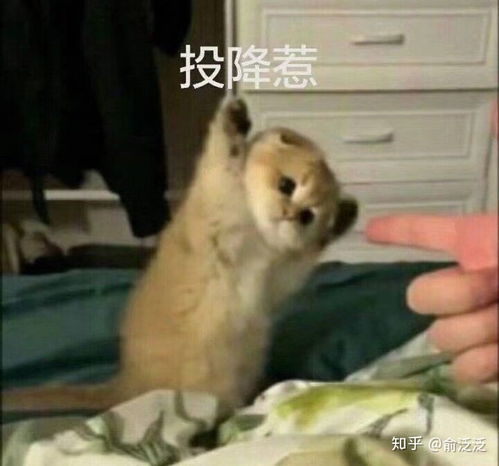 错题本怎么做省时间