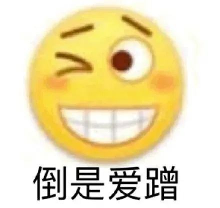 饭圈掐架表情包大全