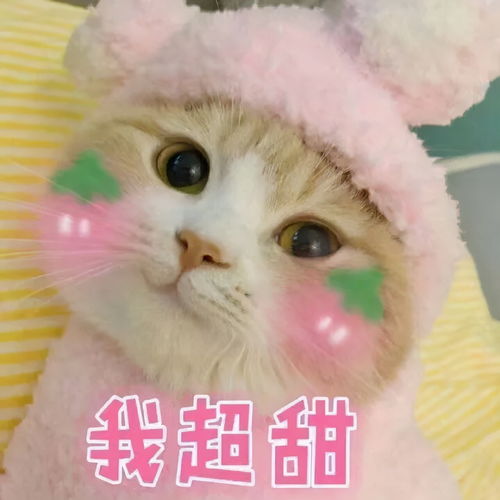 元气森林因宣传0蔗糖致歉,无糖饮料竟是无糖骗局