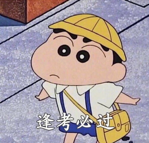 各类文字表情包搞笑可爱