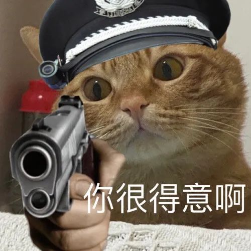 身价过万猫老公,去医院体个检,竟变成了猫公公