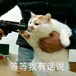 你生平用过最沙雕的表情包是什么