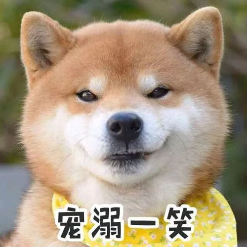 厦门各大企业老板hr们速看有人要搞大事了,今年新春要免费帮你招聘快来报名