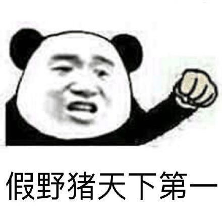 dnf那些比较沙雕的装备,佩服策划脑洞,假猪套竟教人大道理