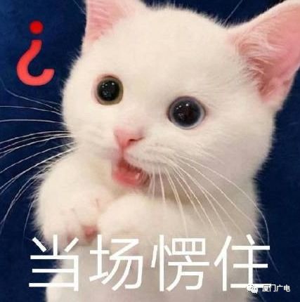 厦门两天狂降7大风降雨过山车天气开始