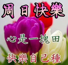 早上好表情包搞笑祝福语