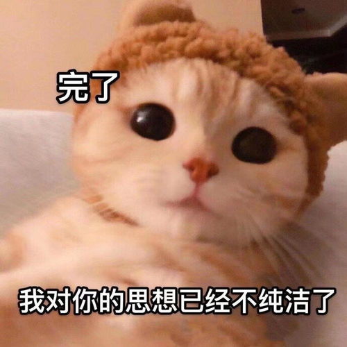 表情包分享麻烦你把手头的事情放一放,该来敷衍我了