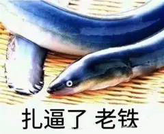 无水印黄鳝我们走表情包女主播与黄鳝的表情