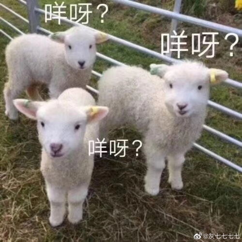 啊啊啊啊啊啊消费需谨慎