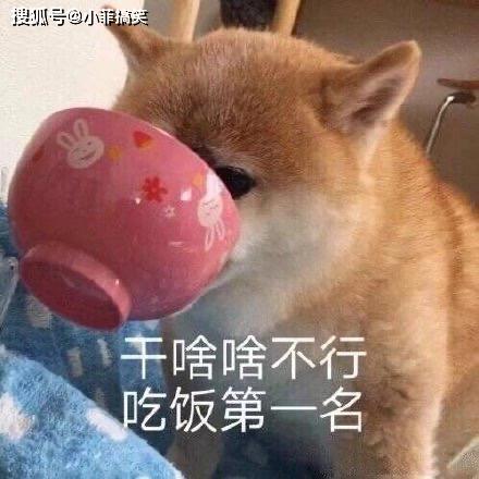 搞笑gif趣图台上一分钟,台下十年功妹子们完美的诠释了
