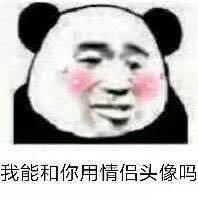 熊猫头表情包合集我能和你用情侣头像吗