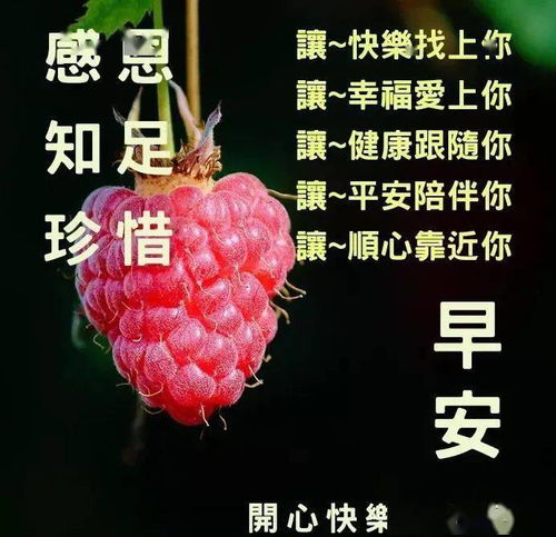 聊天不用打字的图片,心语无声,却很甘甜问侯平常,却很温暖