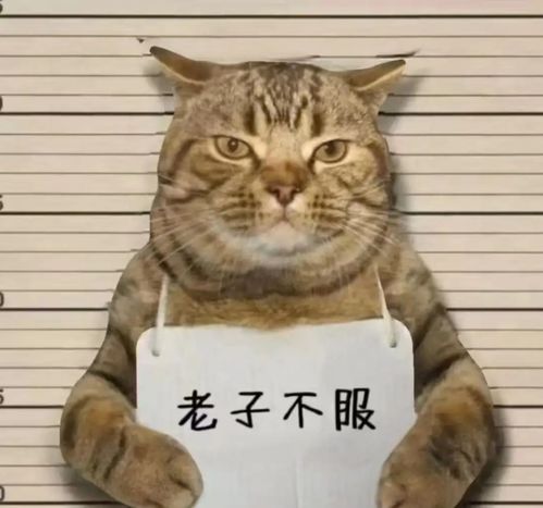 他们凭什么成了特权阶级英国人的怒火,这次烧向了穆斯林